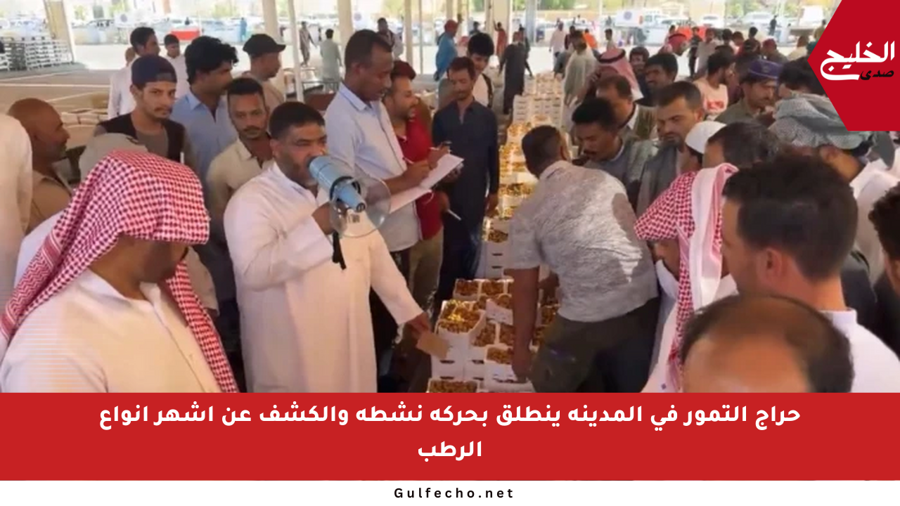 حراج التمور في المدينة ينطلق بحركة نشطة والكشف عن أشهر أنواع الرطب